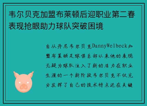 韦尔贝克加盟布莱顿后迎职业第二春表现抢眼助力球队突破困境