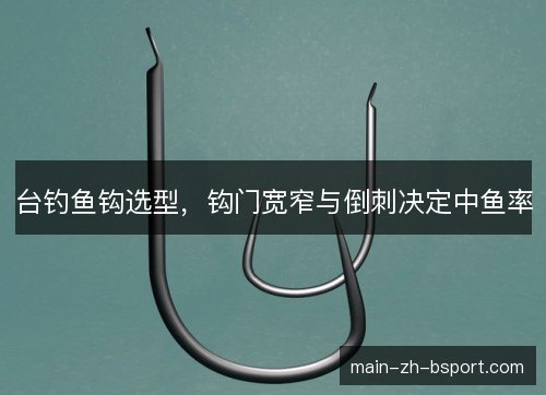 台钓鱼钩选型,钩门宽窄与倒刺决定中鱼率 台钓鱼钩选型,钩门宽窄与倒刺决定中鱼率